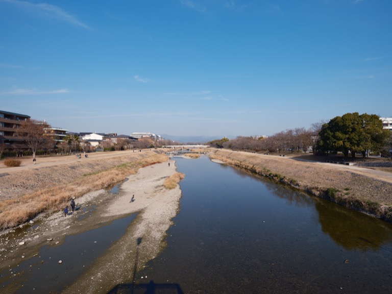 View of the Kamo River from Marutamachi Dori in Kyoto. The river is so clear that you can see the bottom of the river.
