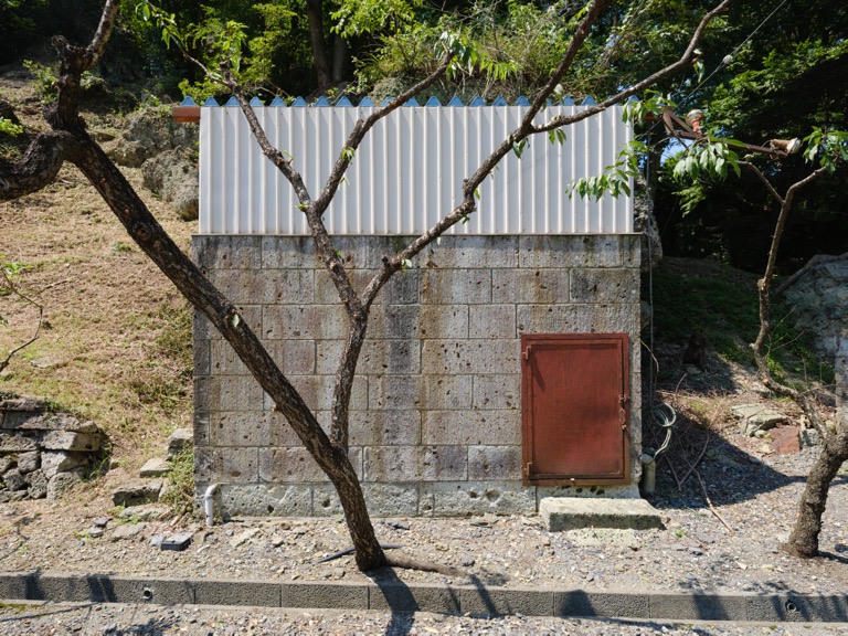 Shed with a small door. Tree branches in foreground.