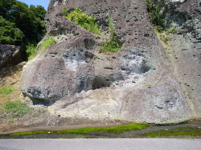 Exposed Oya stone beside a parking lot, porous surface with small pits, a gutter with thin green moss, summer light.